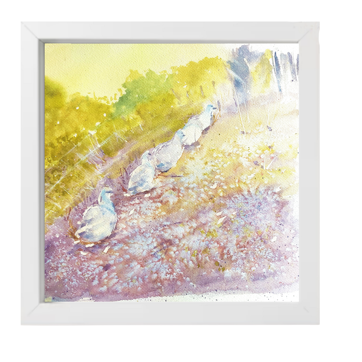 Waddle On: Box Frame Edit