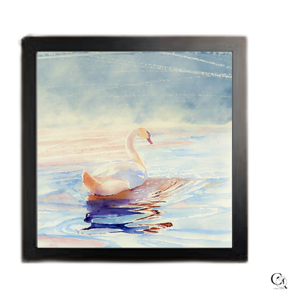 Light In Motion: Box Frame Edit