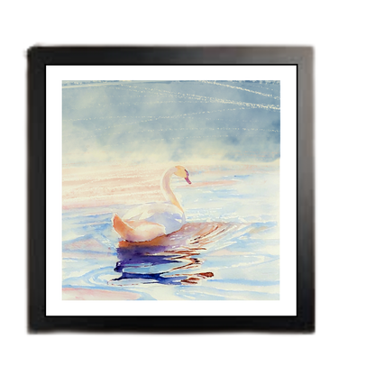 Light In Motion: Box Frame Edit