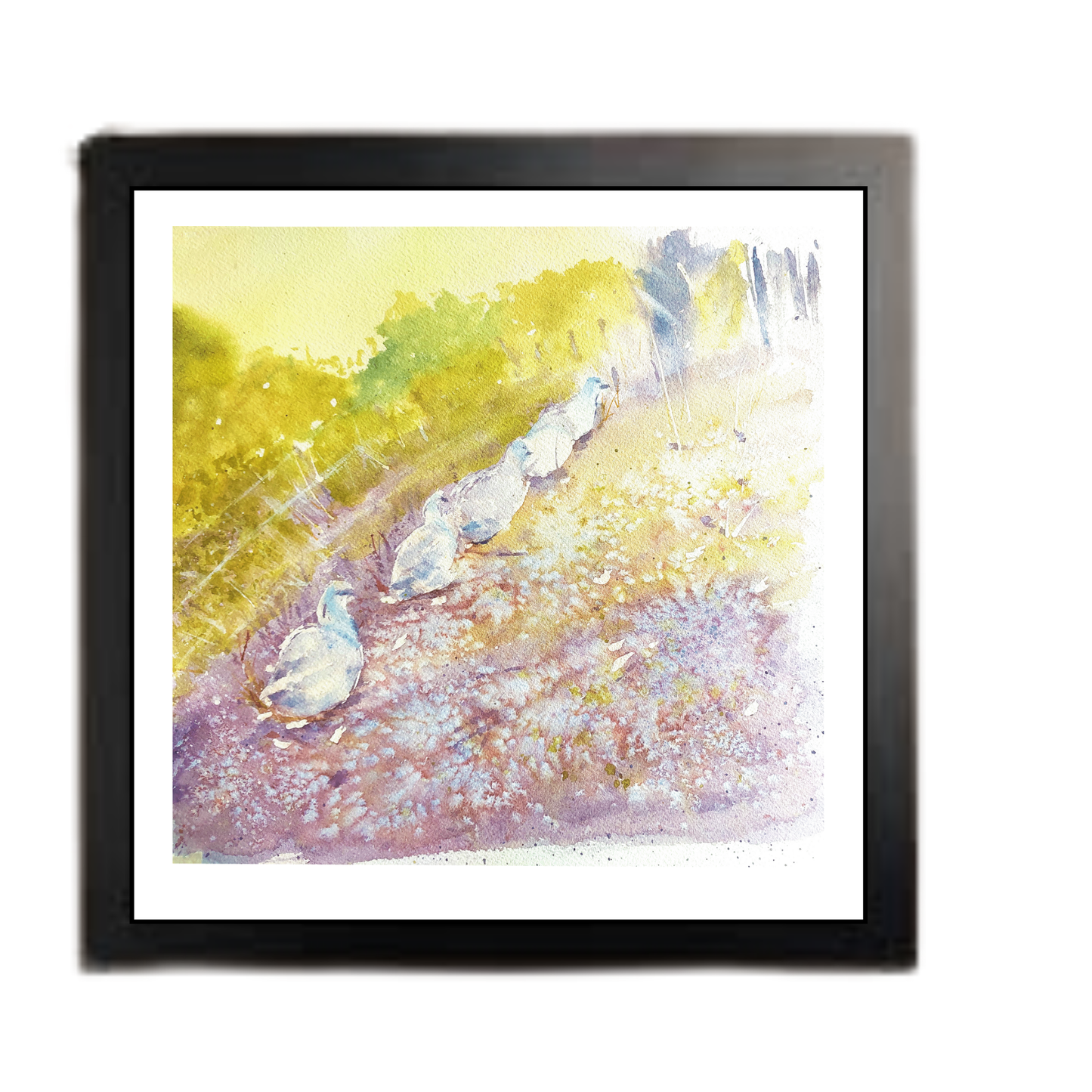 Waddle On: Box Frame Edit