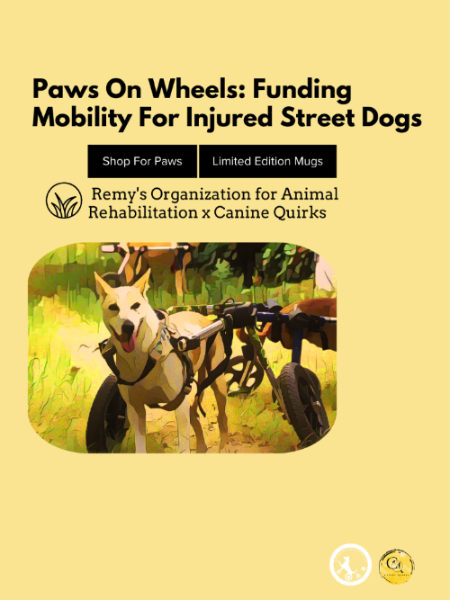 canine quirks ROARxcaninequirks fundraiser
