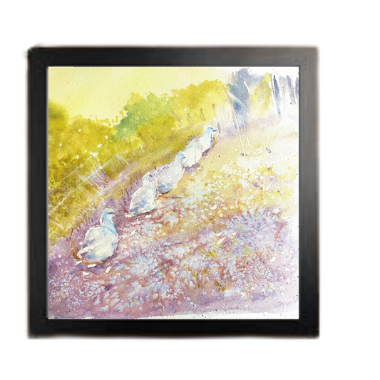 Waddle On: Box Frame Edit