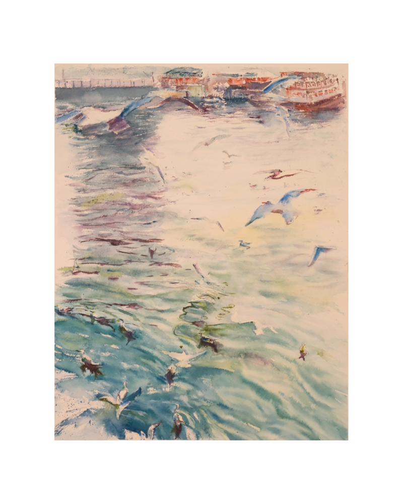 Harbor Gulls — Soft Horizon