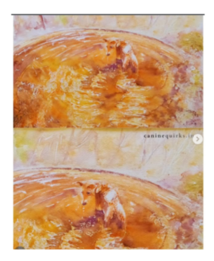 A watercolor-style artwork showing a small dog standing in shallow water, with a warm orange-brown shoreline and pale sky. The image appears to be a screenshot or collage with two similar panels and a visible 'caninequirks.