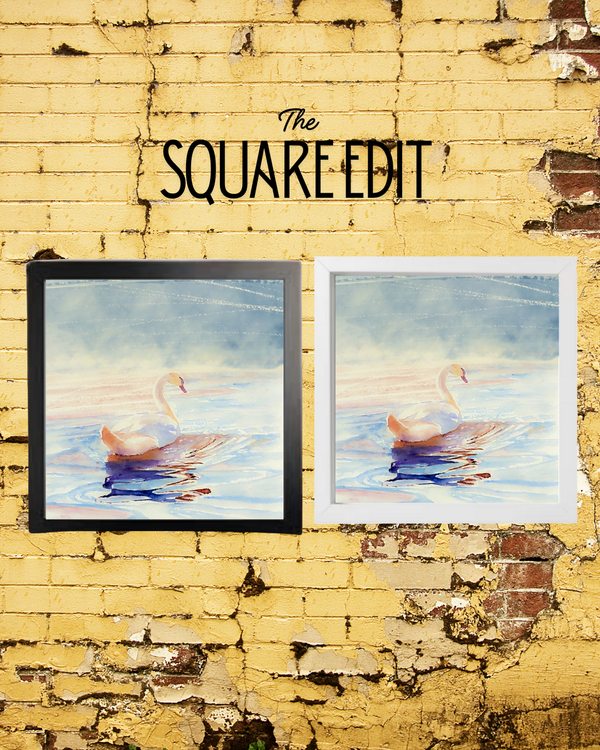 canine quirks square frame edit