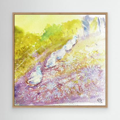 Waddle On: : Square Edit