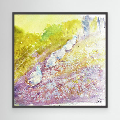 Waddle On: : Square Edit